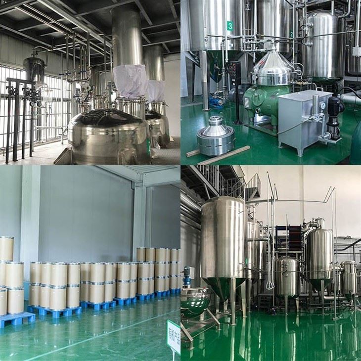 Peach Fruit Powder factory