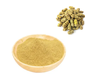 Dendrobium Officinale Powder